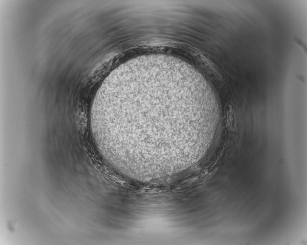 X0000102280821200808151925