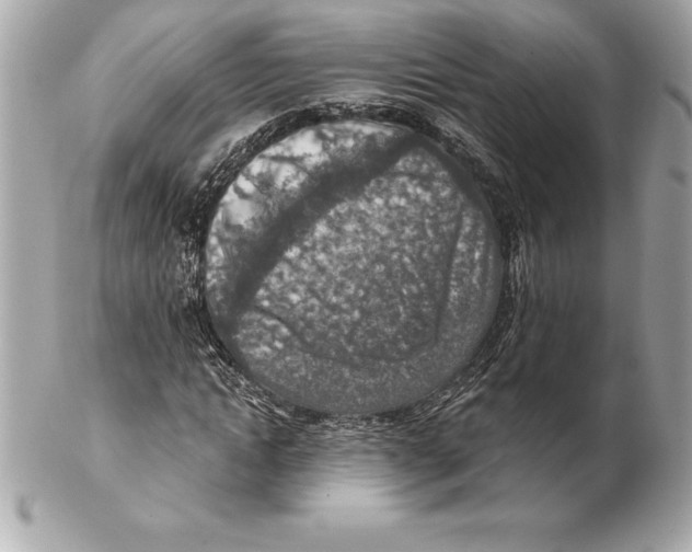 X0000102280822200808151925