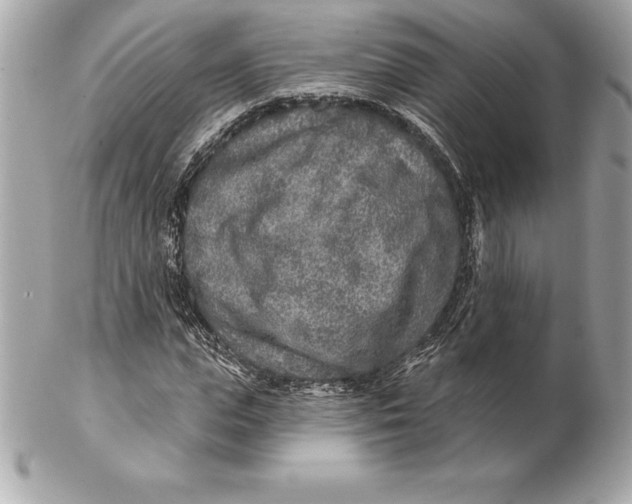 X0000102280823200808151925