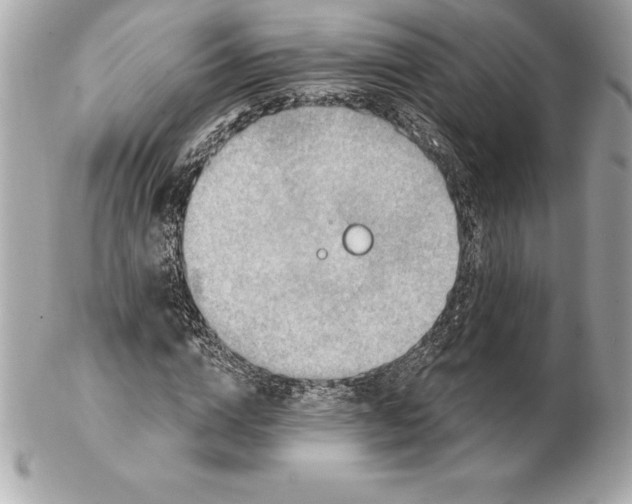 X0000102280824200808151926