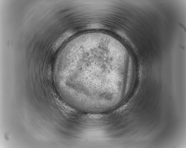 X0000102280825200808151926