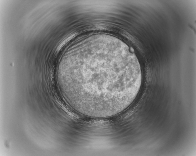 X0000102280826200808151926