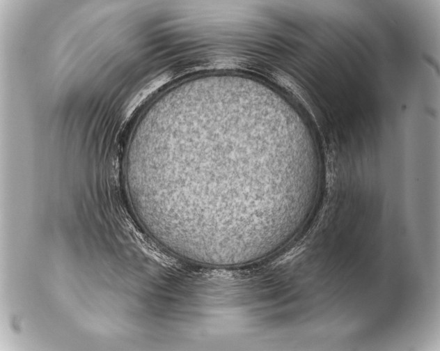 X0000102280827200808151926