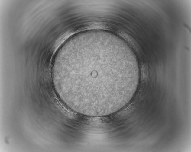 X0000102280828200808151926