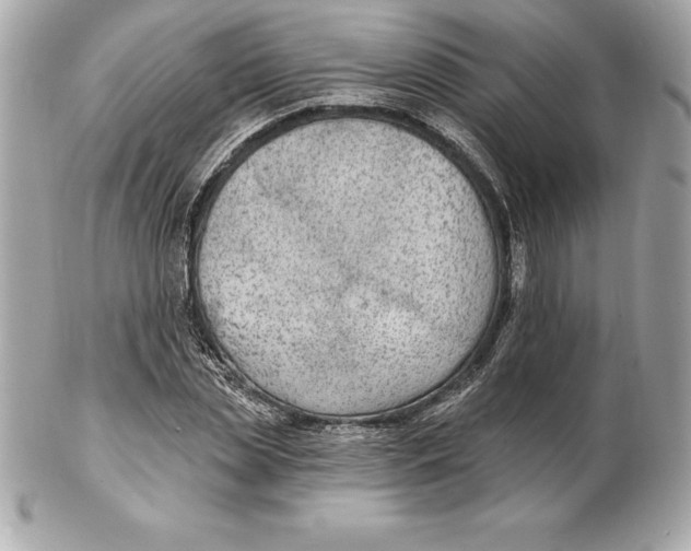 X0000102280829200808151926