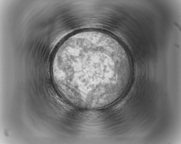 X0000102280830200808151926