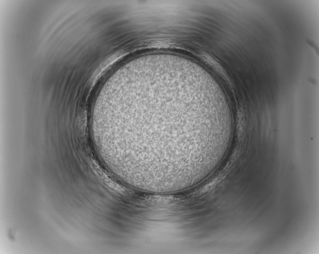 X0000102280831200808151926