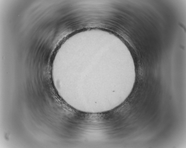 X0000102280832200808151926