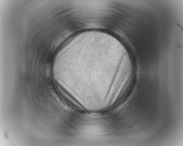 X0000102280833200808151926