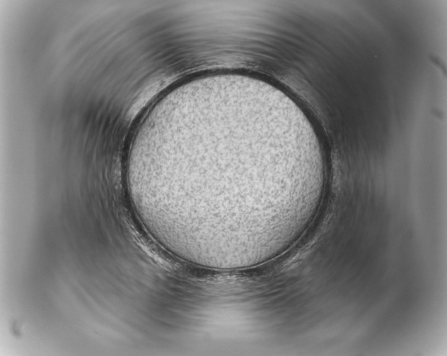 X0000102280834200808151926