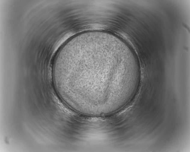 X0000102280835200808151926