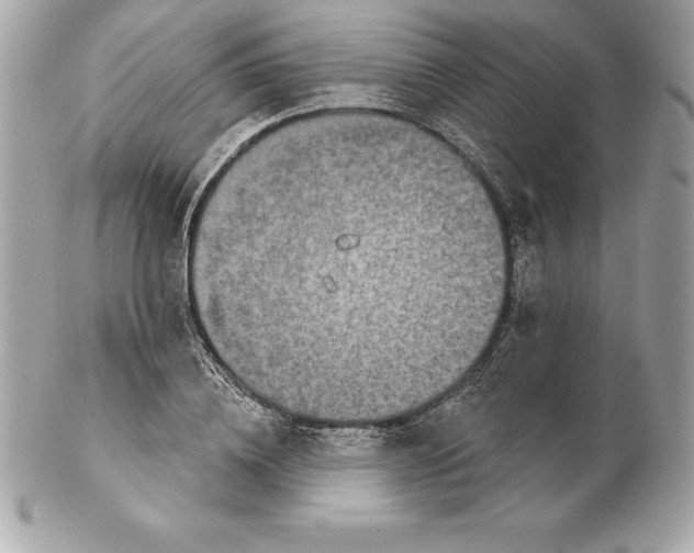 X0000102280836200808151926