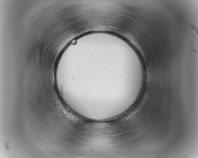 X0000102280837200808151926