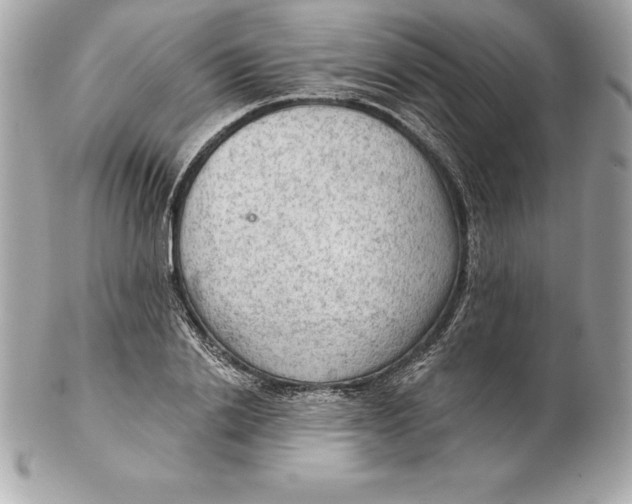 X0000102280838200808151926