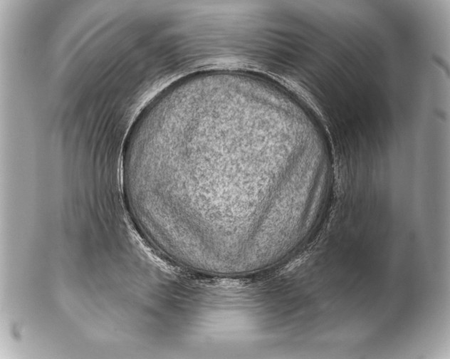 X0000102280839200808151926