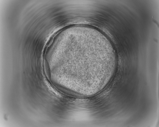 X0000102280840200808151926