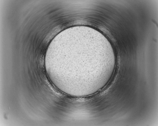 X0000102280841200808151926