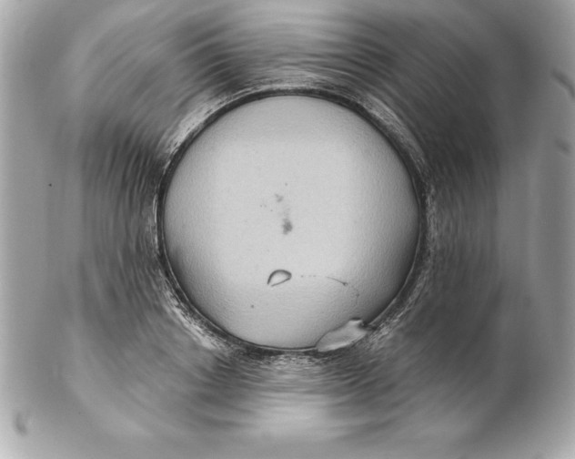 X0000102280842200808151926