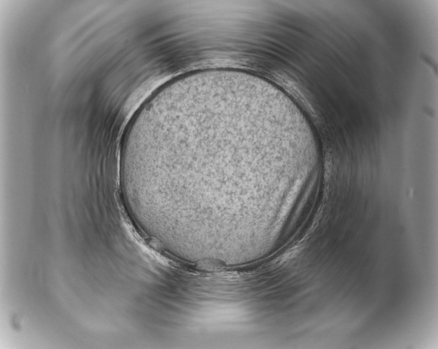 X0000102280844200808151926