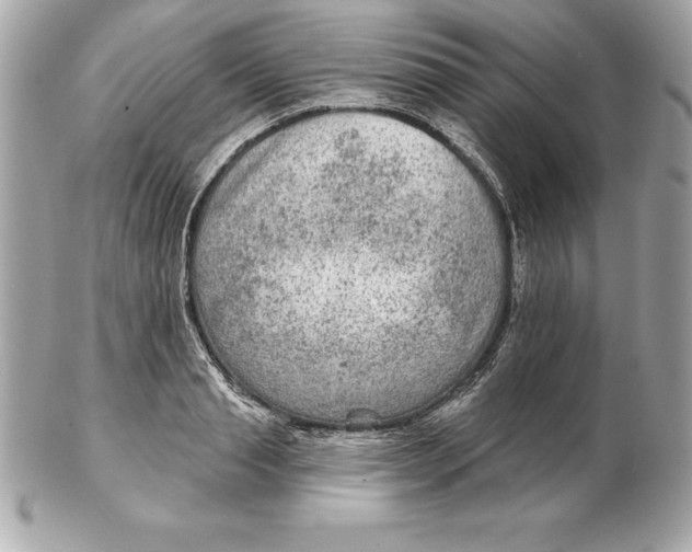 X0000102280845200808151926