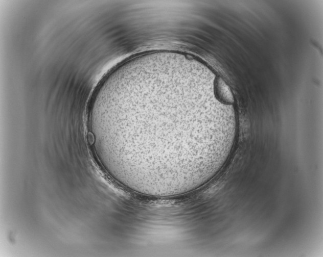 X0000102280846200808151926