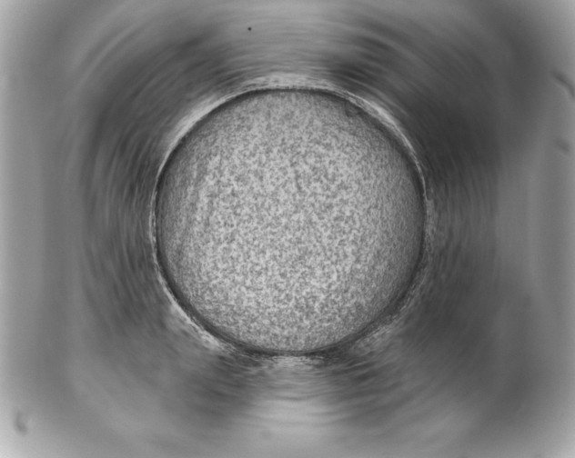 X0000102280847200808151926