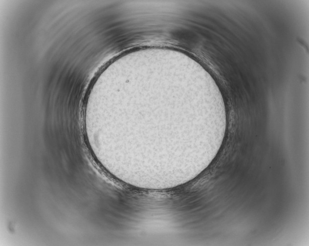 X0000102280848200808151926