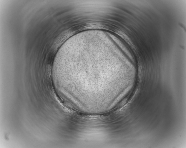 X0000102280849200808151926