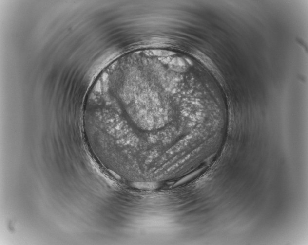 X0000102280850200808151926