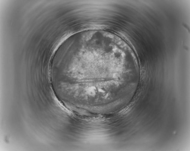 X0000102280851200808151926