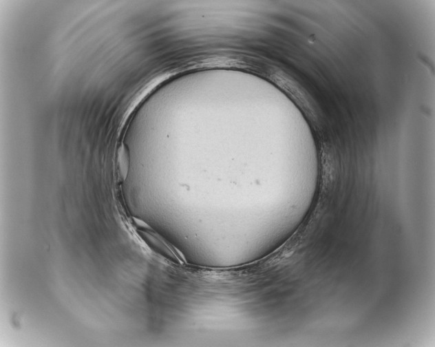 X0000102280852200808151926