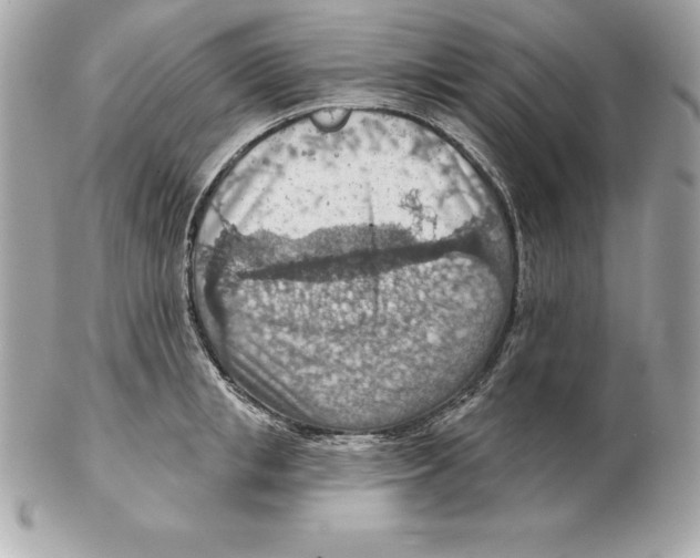 X0000102280853200808151926