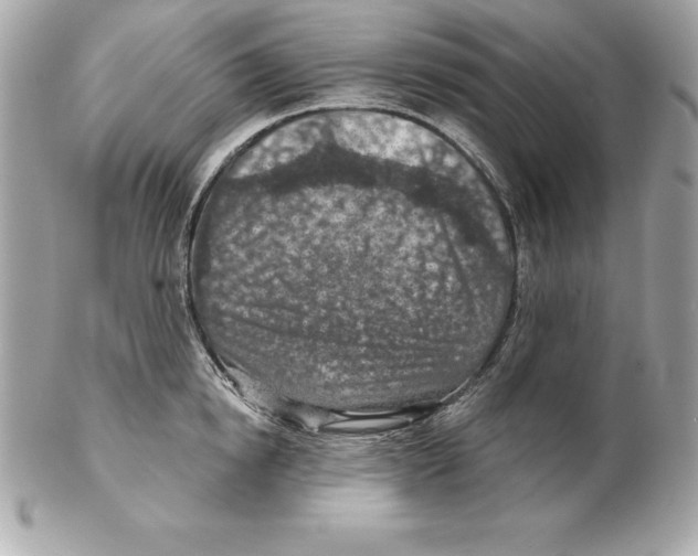 X0000102280854200808151926