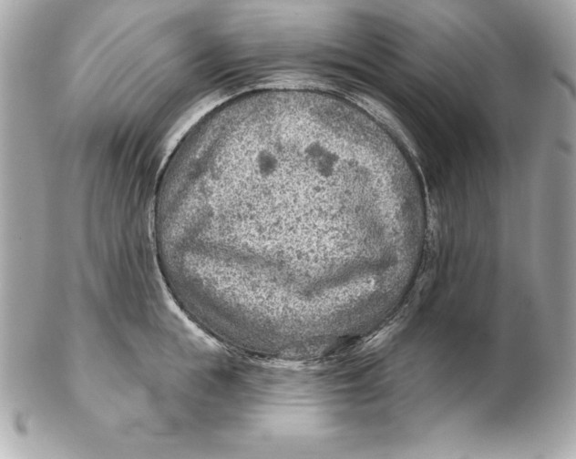 X0000102280855200808151926