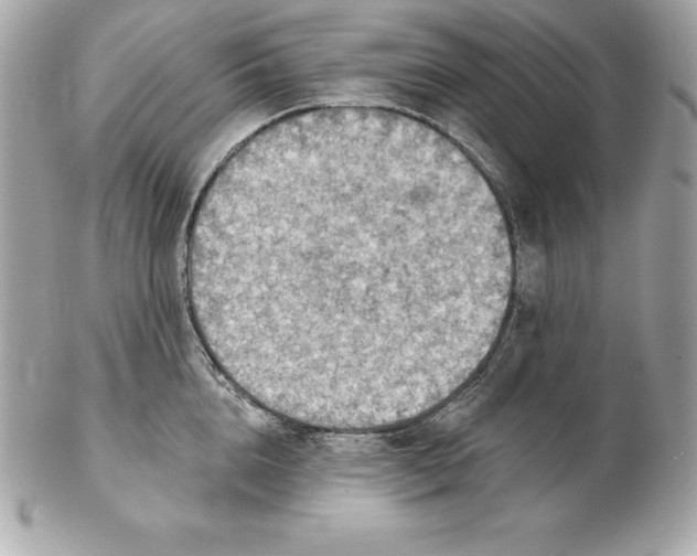 X0000102280856200808151926