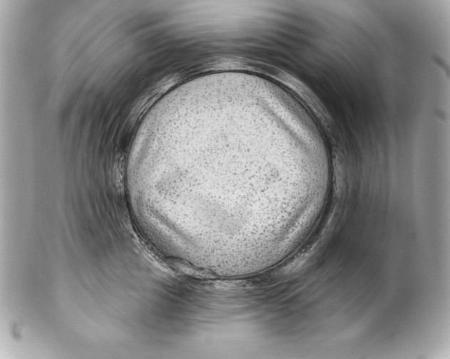 X0000102280857200808151926