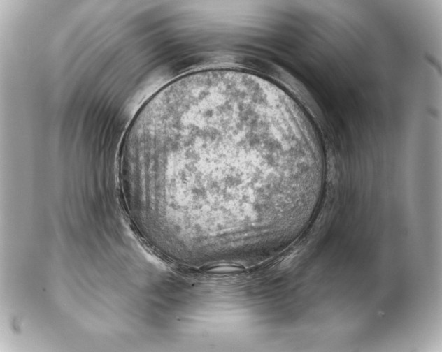 X0000102280858200808151926