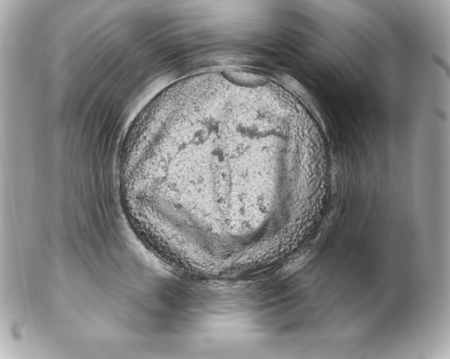 X0000102280859200808151926