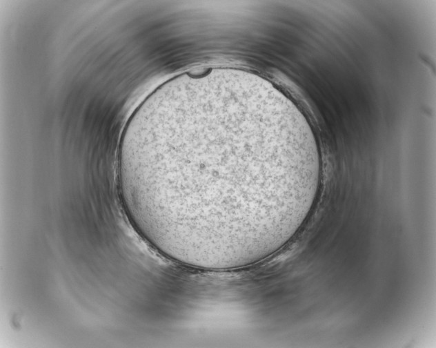 X0000102280860200808151926