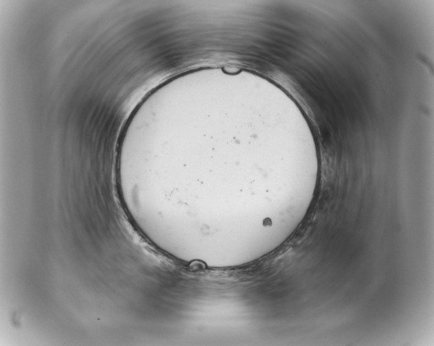 X0000102280861200808151926