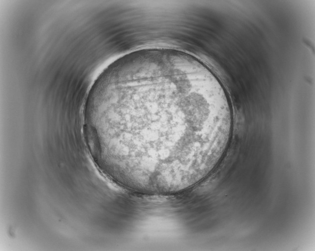 X0000102280862200808151926