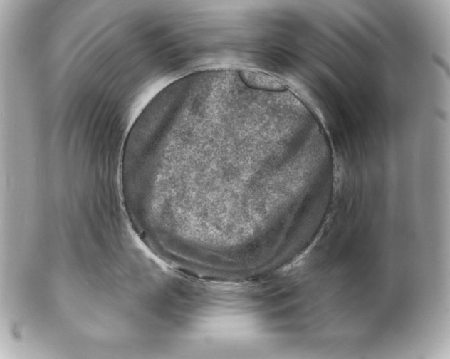 X0000102280863200808151926