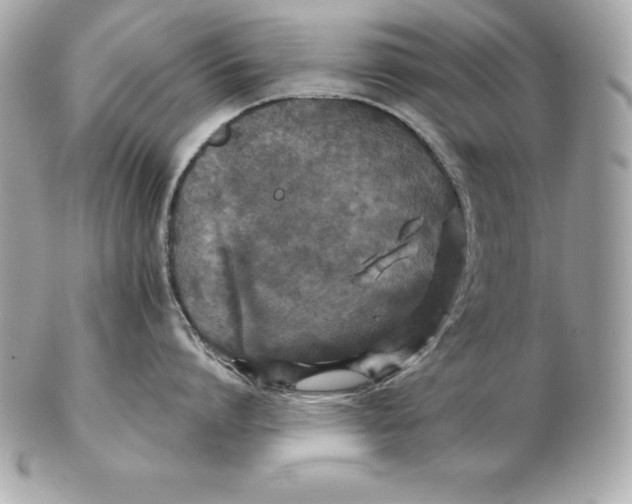 X0000102280864200808151926