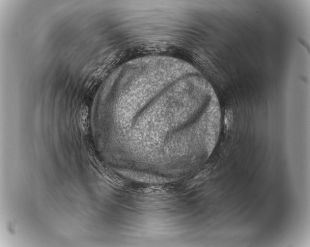 X0000102280867200808151925