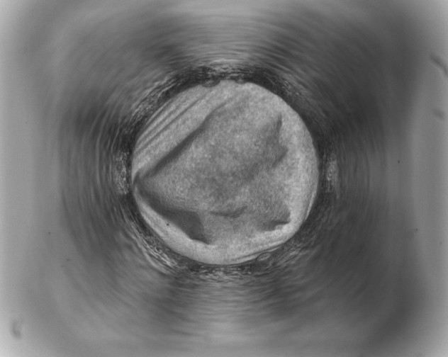 X0000102280868200808151925