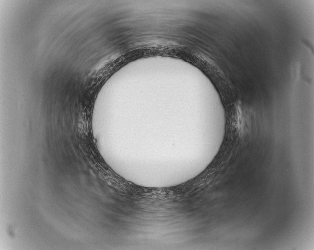 X0000102280869200808151925