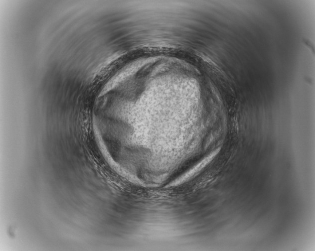 X0000102280870200808151925