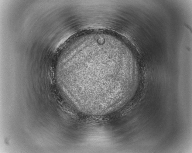 X0000102280871200808151925