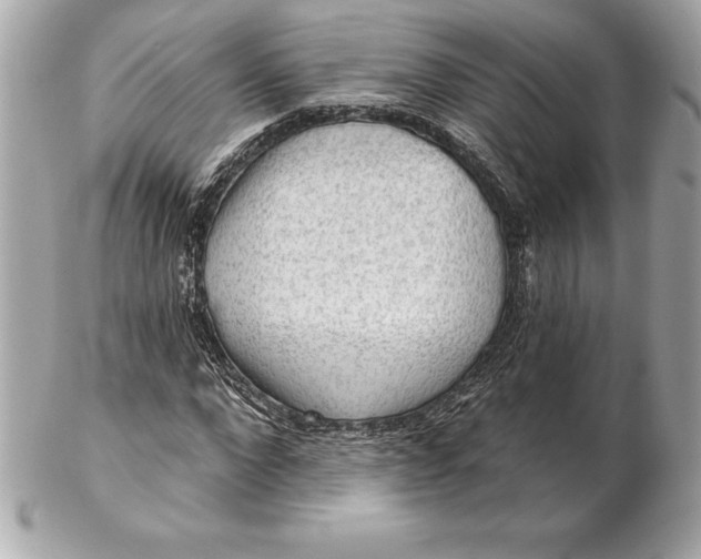 X0000102280872200808151925