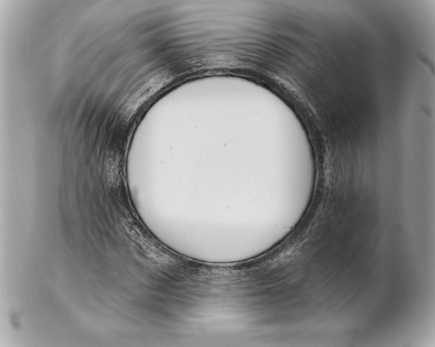 X0000102280873200808151925